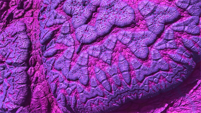 Fondos purpura